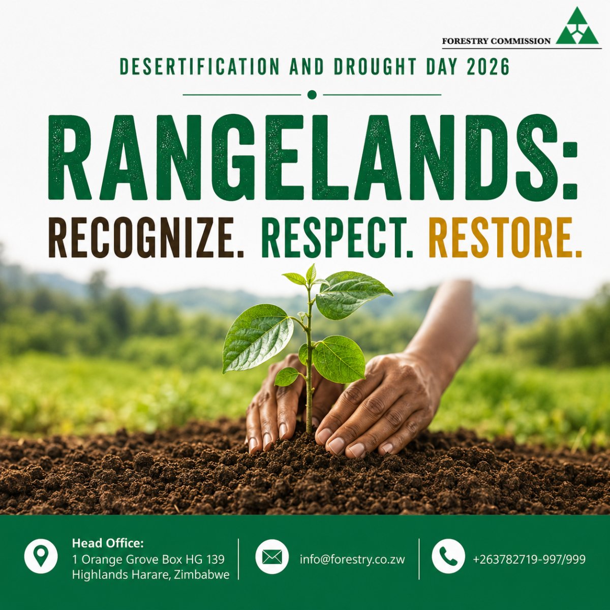 forestrycom1 tweet picture