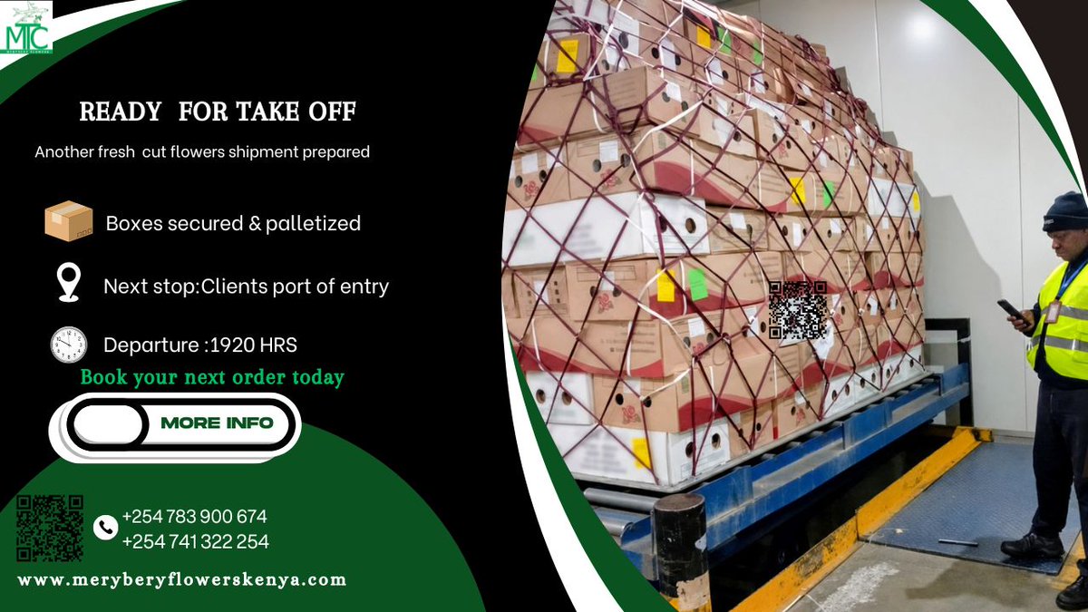 Meryberyflowers's tweet photo. They were ready and awaiting uplift ✈️

🌹Now completely SOLD OUT! 🌻 Another order underway 📦

You haven’t secured your order yet✨

WhatsApp us :+254 783 900 674 |+254 741 322 254 

Scan the QR code to view our catalogue 📁

#meryberyflowerskenya #exportflowers #roses #summers https://t.co/qbIS4CVEP0