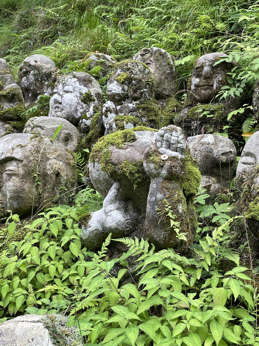 ranahouse's tweet photo. 京都の思い出【愛宕念仏寺】

千と千尋の世界に渡れそうな不思議な空間と、山間だったので自然も多くマイナスイオンに癒されました。

◯のぞみ◯ https://t.co/RGn1g3VByZ