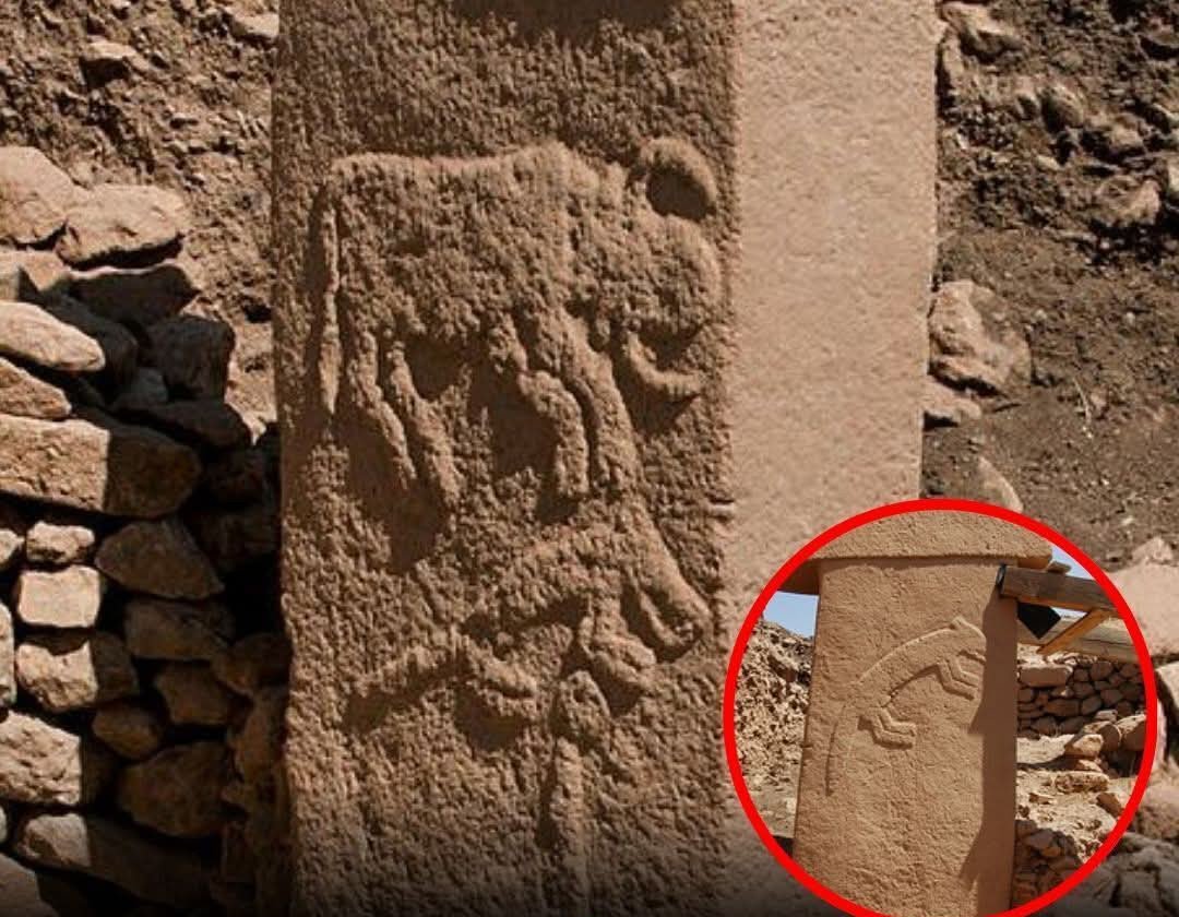 Dr_TheHistories's tweet photo. Archaeologists in Turkey, digging at a sister site to the famous Göbekli Tepe, have reached its lowest layer, unearthing incredible 11,500 year old carved pillars at a settlement called Karahan Tepe, showing that hunter gatherer societies were building elaborate communal gathering spaces before the invention of farming or the wheel.

The discovery comes from the Taş Tepeler region of southeastern Turkey, an area now recognized as home to multiple Pre Pottery Neolithic sites that are rewriting the timeline of human civilization. Karahan Tepe, located approximately 23 miles (37 kilometers) from Göbekli Tepe, features T shaped limestone pillars weighing up to 30 tons each, carved with stylized human arms, hands, belts, and animal figures including snakes, foxes, and birds. The site also contains a large "building with a phallus," a carved stone chamber used for what researchers describe as "bloody rituals," and a basin that may have held water or offerings. The architects of these structures were not farmers. They were hunter gatherers who returned to the same site generation after generation, lowering massive stones with ropes and wooden levers, carving symbols into solid rock using only flint tools.

This monumental discovery is rewriting history textbooks by flipping a century old assumption. For decades, archaeologists believed that agriculture came first: humans learned to farm, settled into permanent villages, and only then developed the surplus labor and social hierarchy needed to build temples. Göbekli Tepe and Karahan Tepe reverse that sequence. The desire for communal worship and spiritual gathering may have actually driven people to settle down and eventually develop agriculture, rather than the other way around. People gathered to build temples. They built temples to worship. And then, because they kept gathering, they needed food, then stored food, then planted food. Agriculture followed worship, not the reverse.

An 11,500 year old pillar carved with human hands. A hunter gatherer who became an architect. A temple built before anyone knew how to grow a single seed.

#drthehistories