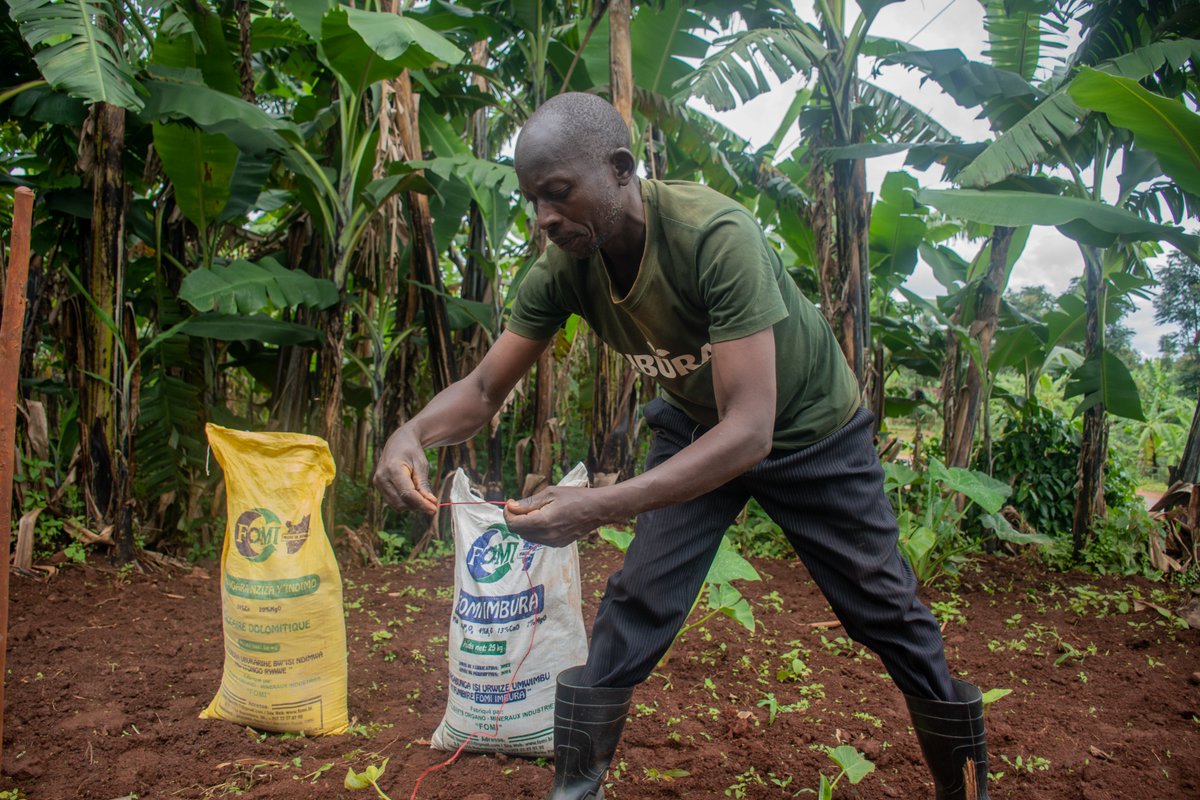 oneacrefundbu's tweet photo. En 2025, les agriculteurs accompagnés au #Burundi ont gagné en moyenne 88.12 $ de plus que les non-participants. Derrière ces progrès, les agents de terrain apportent formations, conseils et intrants au plus près des communautés. #TuburaImpact https://t.co/DAI5kfobe6