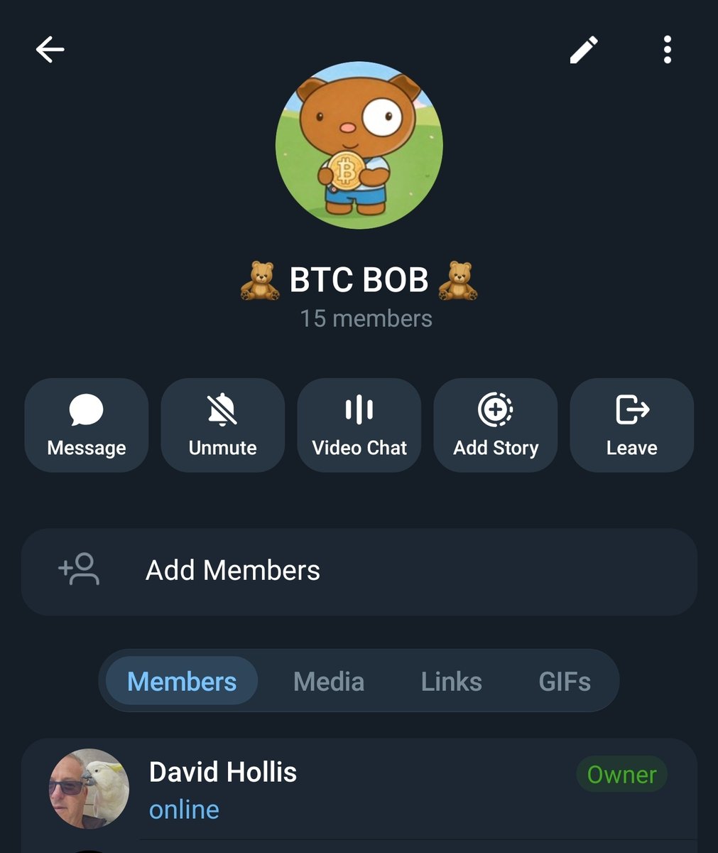 Bitcoin Bob USDC tweet media