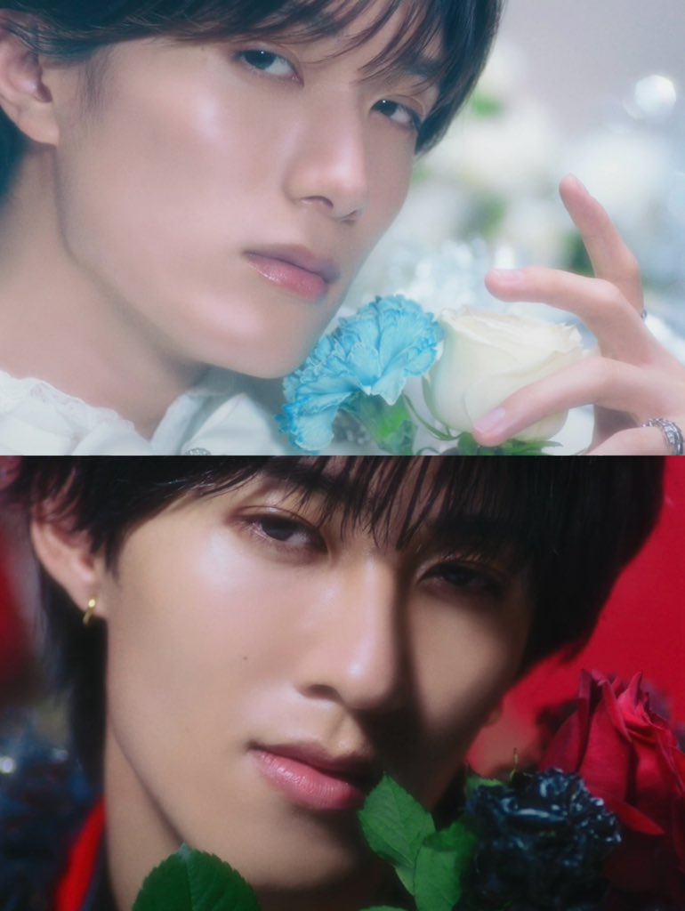 jyutaro_metu_'s tweet photo. やわしゅんって月と太陽なら
🤍→月　❤️→太陽
なのに、光と闇だと
🤍→光　❤️→闇
になるのが本当に天才双子コンビで… https://t.co/OUaEfymk3v