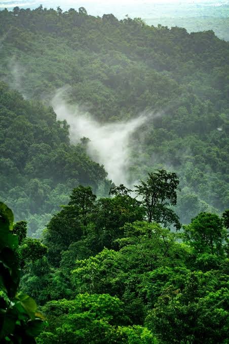 beatsinbrief's tweet photo. 🚨 BIG: India restored 21.76 million hectares of degraded and deforested land between 2011 and 2020, achieving nearly 84% of its 2030 Bonn Challenge target.

(Source: IUCN) https://t.co/98AqSlYuwU