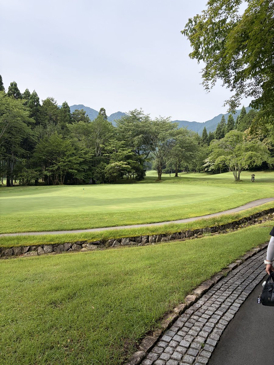 bbk_golf's tweet photo. さすが｢関西イチ綺麗なゴルフ場｣と言われるコースでした。

ただスコア的には、山岳コースなのにカート無しで6300yardを歩きでプレイ。
前半こそ42点で踏みとどまったけど、後半はバテバテで48点とボロボロ😭

コース的にも体力的にも難しゅうございましたわな😅 https://t.co/9uVEC0BuS2