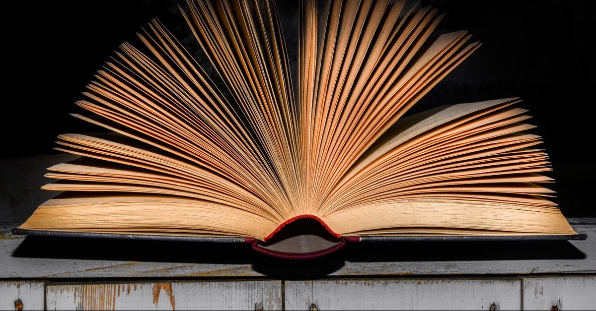 howardbarnes's tweet photo. Action novels are irresistible! Their strategic twists captivate me, much like innovative ideas in business. Whether it's a gripping plot or groundbreaking plan, both add spice to life! 📚 So many exhilarating reads, yet never enough time... #BookLover #ActionPacked https://t.co/7qL71WS5WE