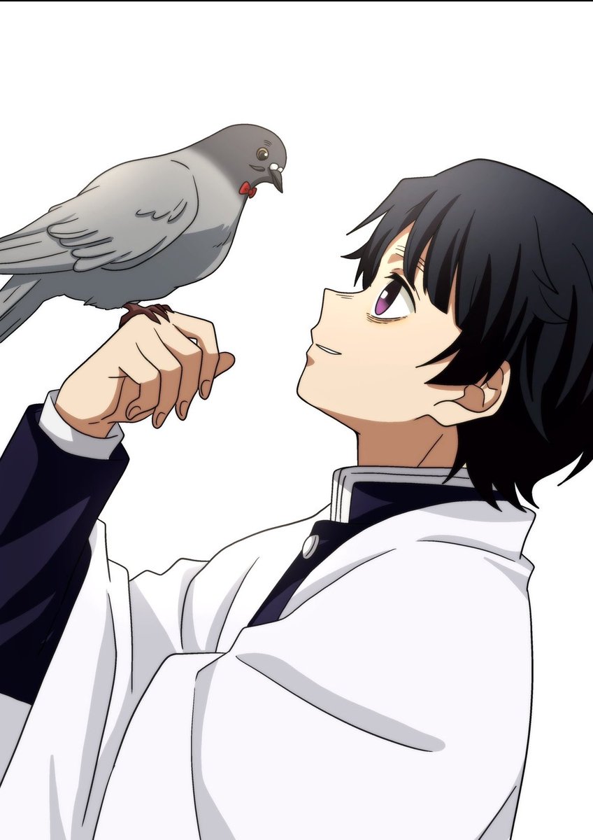 しょぼくれた鳩 tweet media