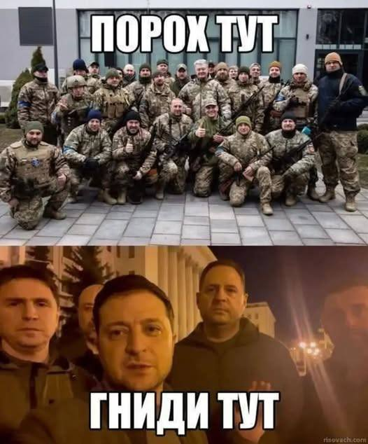 ZeppelinMint's tweet photo. @RozenkoPavlo #FuckZe https://t.co/HueWK23o9P