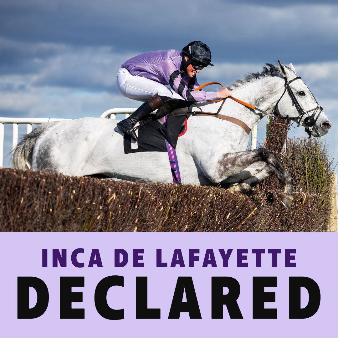 ownersgroupuk's tweet photo. Inca De Lafayette has been impressive this season and we hope for another good run this afternoon, in the 1.35 at Worcester under Freddie Gingell. We wish trainer Paul Nicholls and all of Inca De Lafayette's owners the best of luck later. https://t.co/Zy9xD4ZWYd