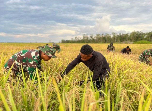 NenkMonica's tweet photo. Program cetak sawah di Wanam merupakan bagian dari target besar pengembangan lahan pertanian hingga 1 juta hektare di Merauke dan sekitarnya. 

Sinergi antara pemerintah, TNI (termasuk Kodam Mandala Trikora), dan masyarakat lokal terus digenjot untuk mewujudkan Papua sebagai lumbung pangan Indonesia.

"Padi bisa tumbuh optimal di Wanam. Ini bukti konkret potensi besar sektor pangan nasional dari Papua," ujar Mayjen TNI Ahmad Rizal Ramdhani selaku Komandan Satgas Ketahanan Pangan Kementerian Pertanian.

Keberhasilan ini diharapkan menjadi inspirasi dan modal awal bagi pengembangan sawah rakyat yang lebih luas di wilayah Papua Selatan.