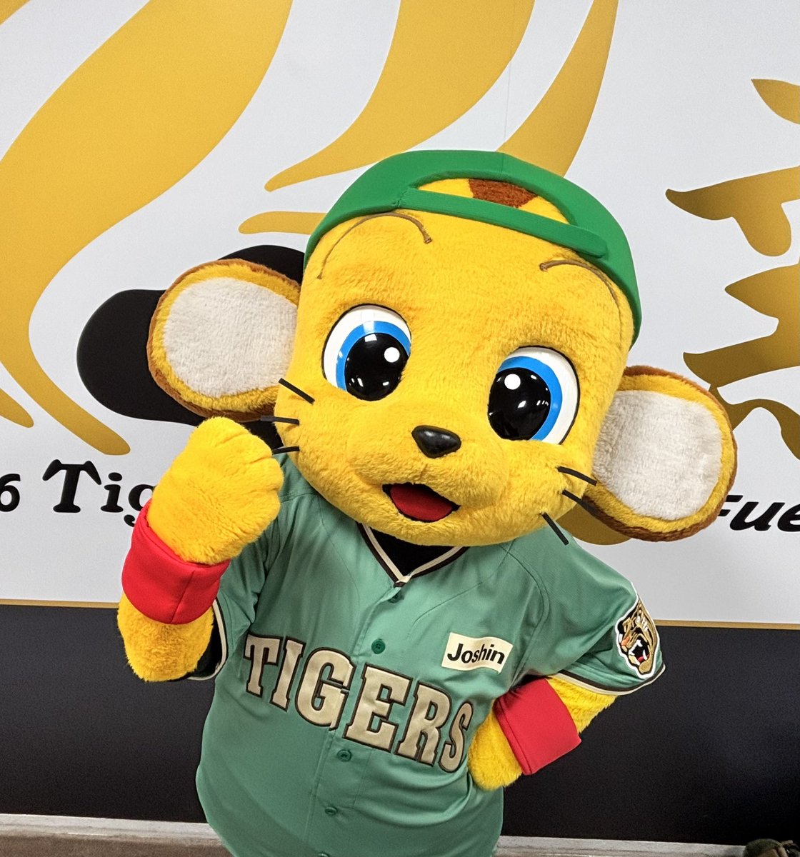 公式】阪神タイガースグッズ情報 (@tigersgoodsinfo) / Posts and