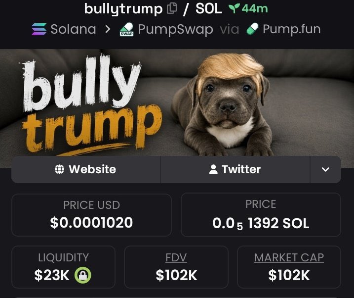 Mike37569025's tweet photo. $bullytrump just ripped 10.2x 🚀
📈 From $10K → $102k MCAP 🔥

I drop my highest-conviction Solana memecoin plays early in my private alpha TG — before they go parabolic.

⛓️ #solana #memecoin #cryptoTrading

DM now to lock in the next run https://t.co/BnuwkuAk6O