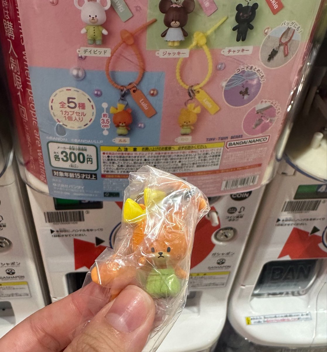 dbme17's tweet photo. くまのがっこう　カラフルマルチチャーム　交換

【譲】ルル

【求】ジャッキー

郵送での交換希望です🎀
検索からでもお気軽にお声掛けください🪄 https://t.co/sXJKUHgA3j