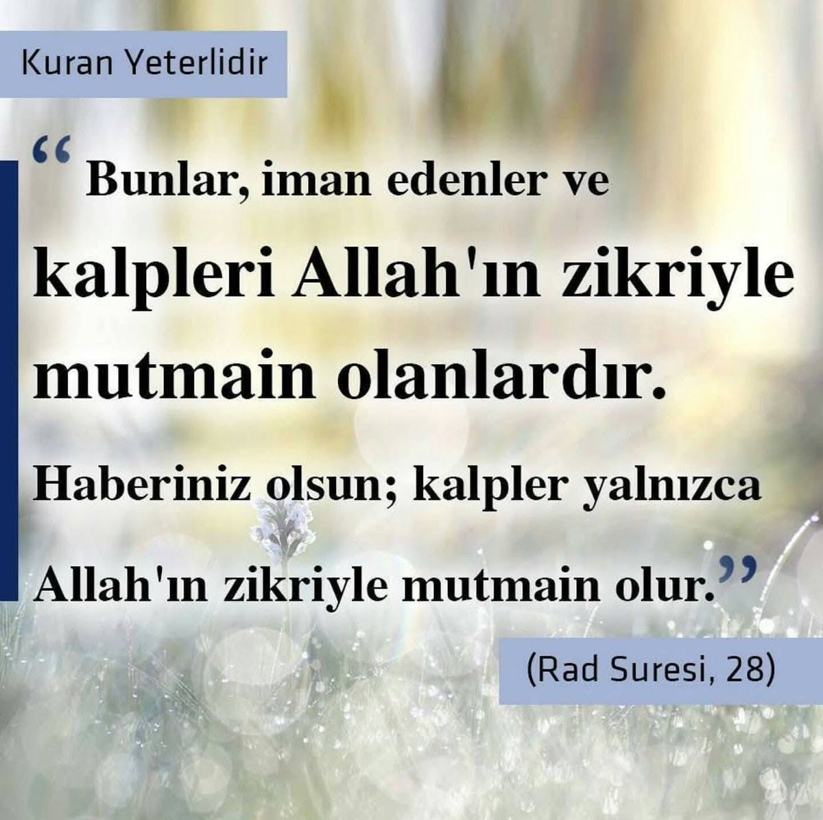 Angell tweet media