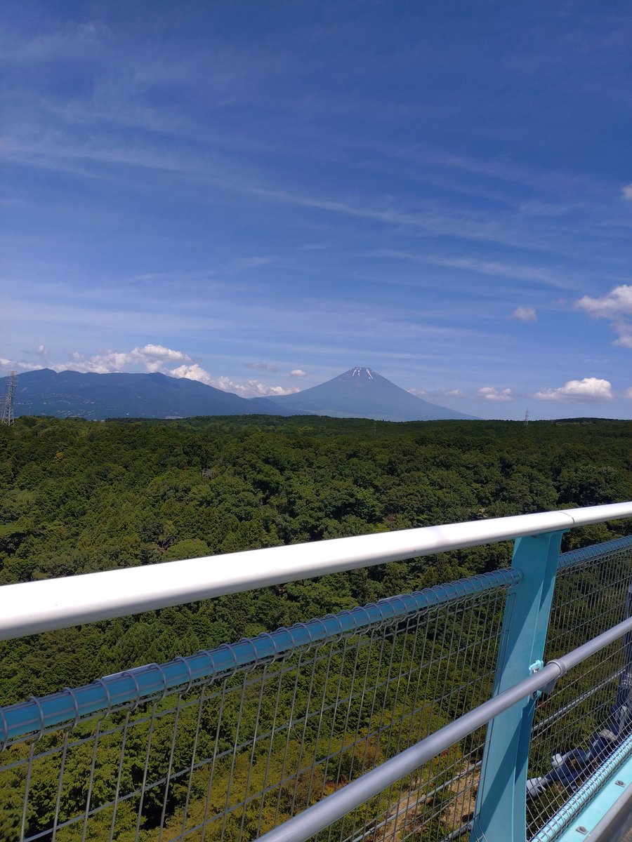 tts_hono's tweet photo. 三島スカイウォーク行ってきた〜
あじさいが綺麗に咲いてた✨️
天気良くて良��った☀️ https://t.co/CwQbpKmSS7