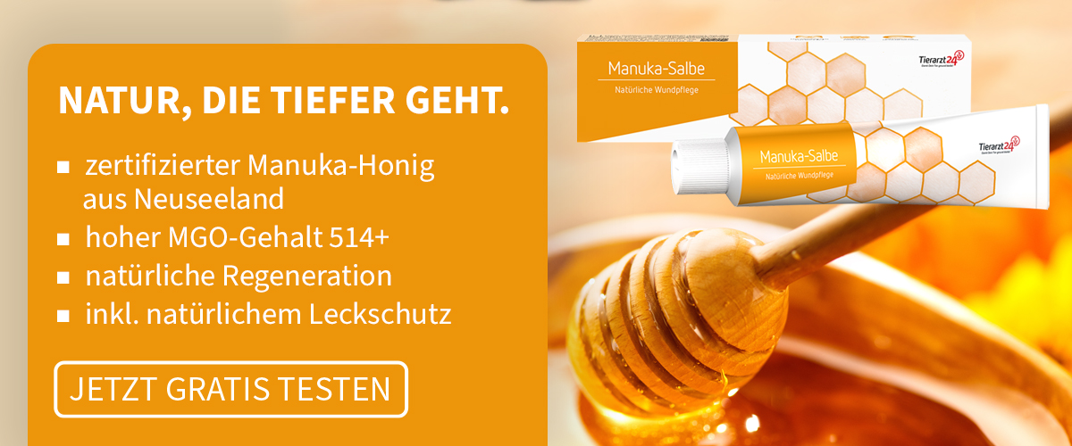 docgoy's tweet photo. 🍯 Manuka-Salbe gratis – jetzt NEU! 🐝 https://t.co/gvaXEb2CaM 🐕🐈 https://t.co/oHDEjfmtkR
