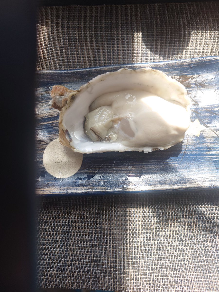 tocchinn19367's tweet photo. ＃小名浜
＃生牡蠣@400
四倉から小名浜への海岸道路は気持ち良いですね～🥳
生牡蠣は大きくて美味しかったです〜😙 https://t.co/qEXP5NF4Ik