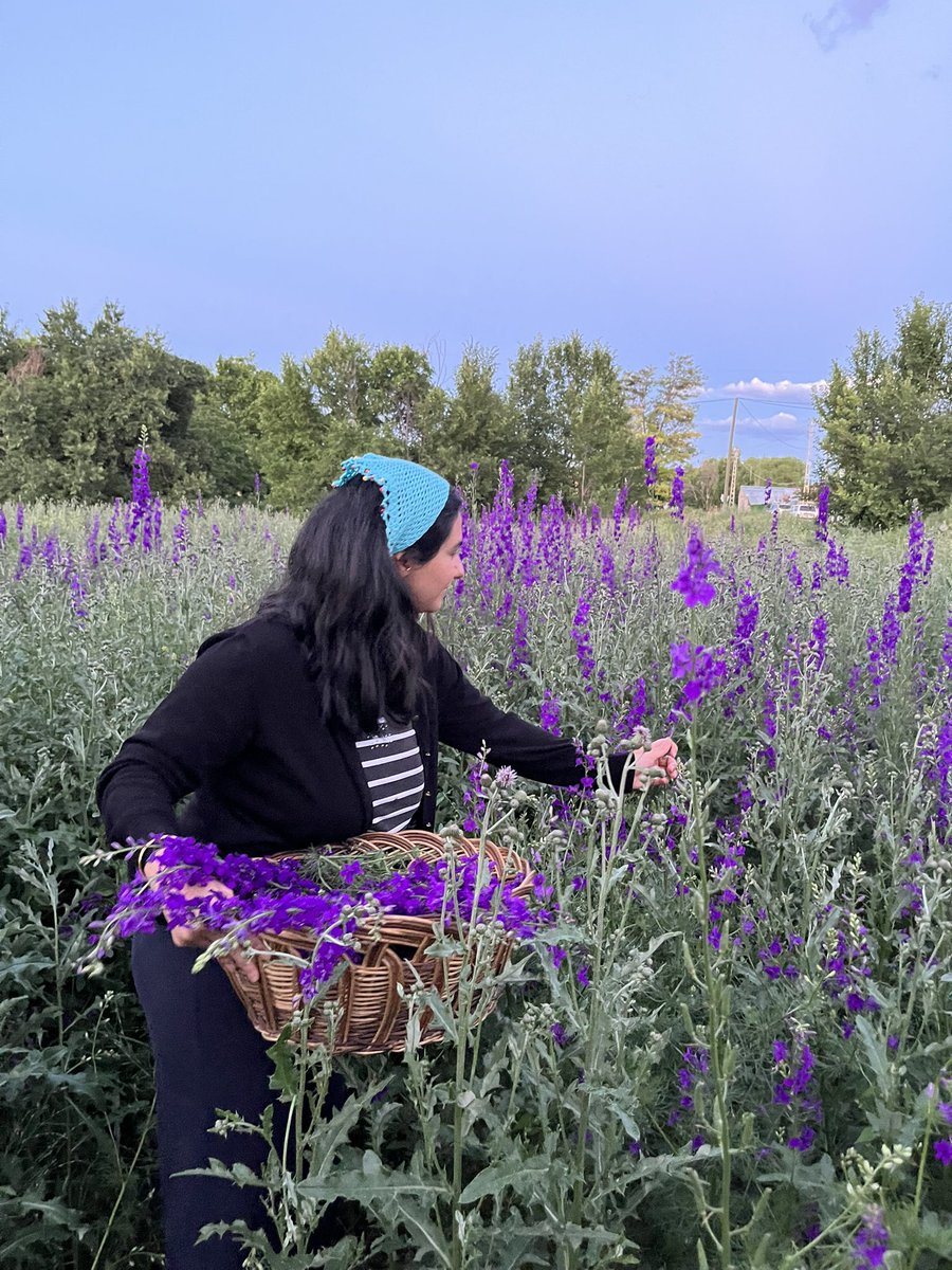 mayonesli's tweet photo. Ve gönül Tanrısına der ki:
Pervam yok verdiğin elemden;
Her mihnet kabulüm, yeter ki
Gün eksilmesin penceremden!🪻💜 https://t.co/RO4ODuDWzx
