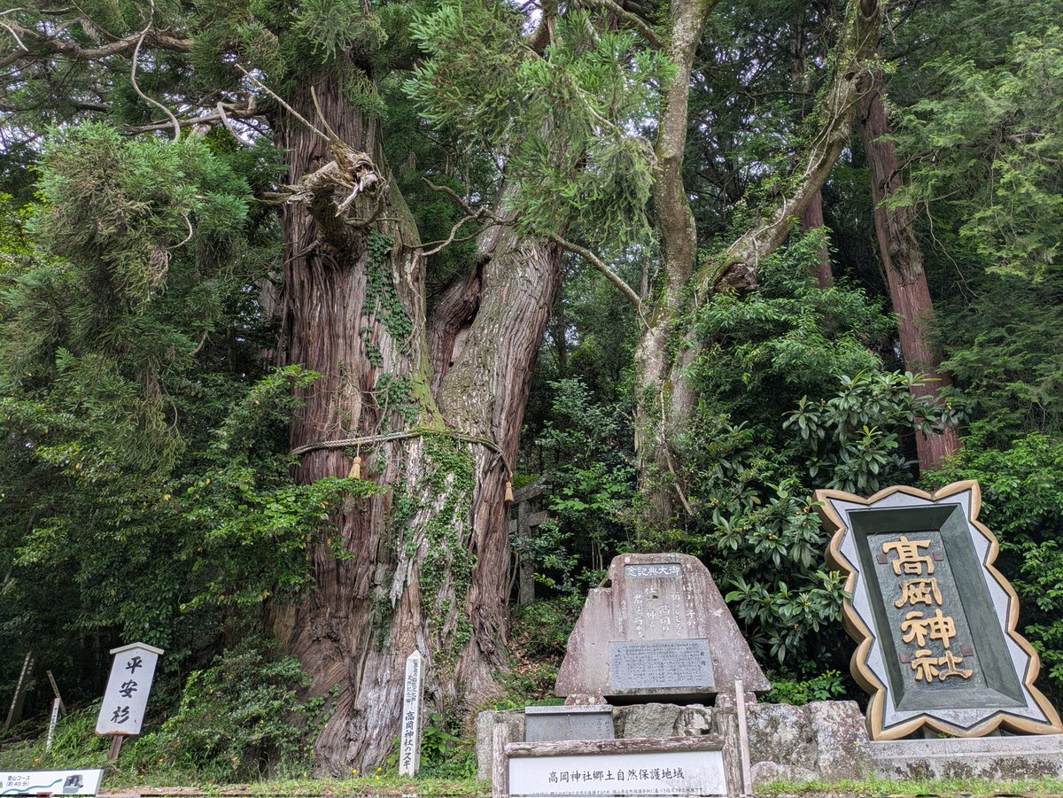 mizushima_aria's tweet photo. #夫婦ツーリング
#ZRX1200S
#DS250
#高岡神社 (岡山県真庭市)
・安産祈願、祈願成就
御神木の杉に龍がいるのを見に来ました⛩️👏👏🙏
曇り空で山越は涼しくてバテずに良かった👍 https://t.co/WhoeoIcshx