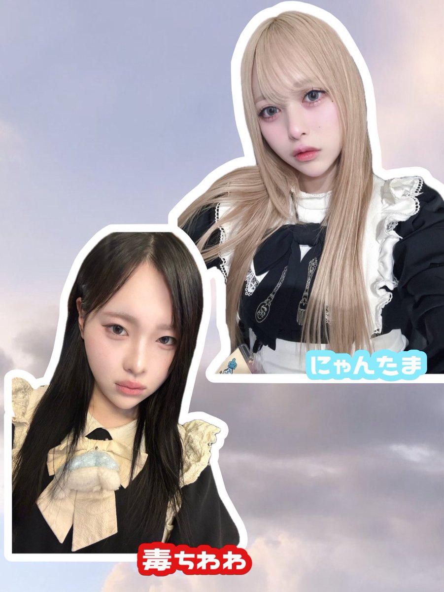 ◆✨カフー❤️ちわにゃん✨◆ ♡ ••┈┈┈🫧☕️🫧┈┈┈•• ♡ 本日6月17日（木）出勤メイド 🫧18:00