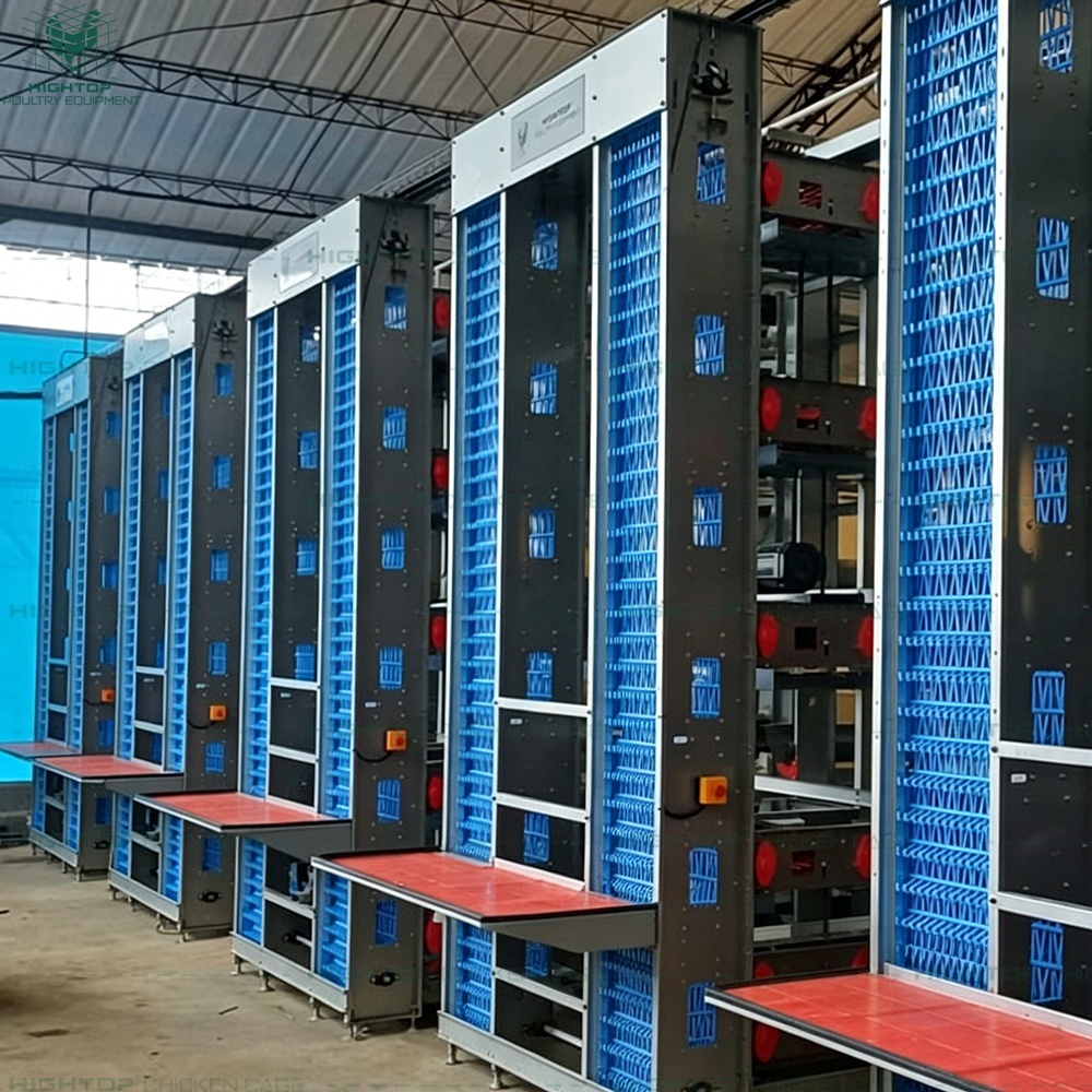 HightopPoultry's tweet photo. 🛡️ Hot-dip galvanized H-type cages resist rust, last longer, and help keep layer houses clean, strong, and efficient. 🥚🐔 https://t.co/OFTP4oTAHZ