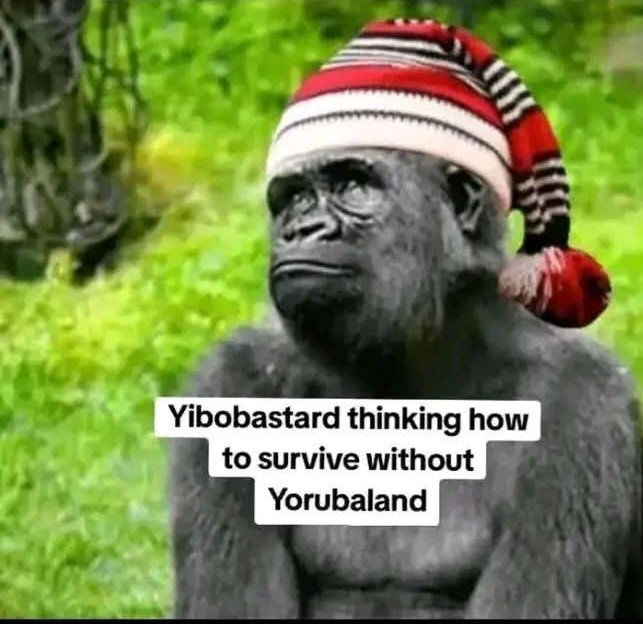 AgbaraDanfo's tweet photo. @ugo_addy @VivianIfeomaOj To chase you, Ndigbolugis ungrateful ingrate uncultured bastard out of Lagos cost us nothing, I swear. Naa to just demolish, Alaba Market, ladipo and trade fair fake products market. Naa, only noise and online cry una go do. Ask South Africa 🇿🇦 how far after ibos arrogant display https://t.co/N1n96hrbFG