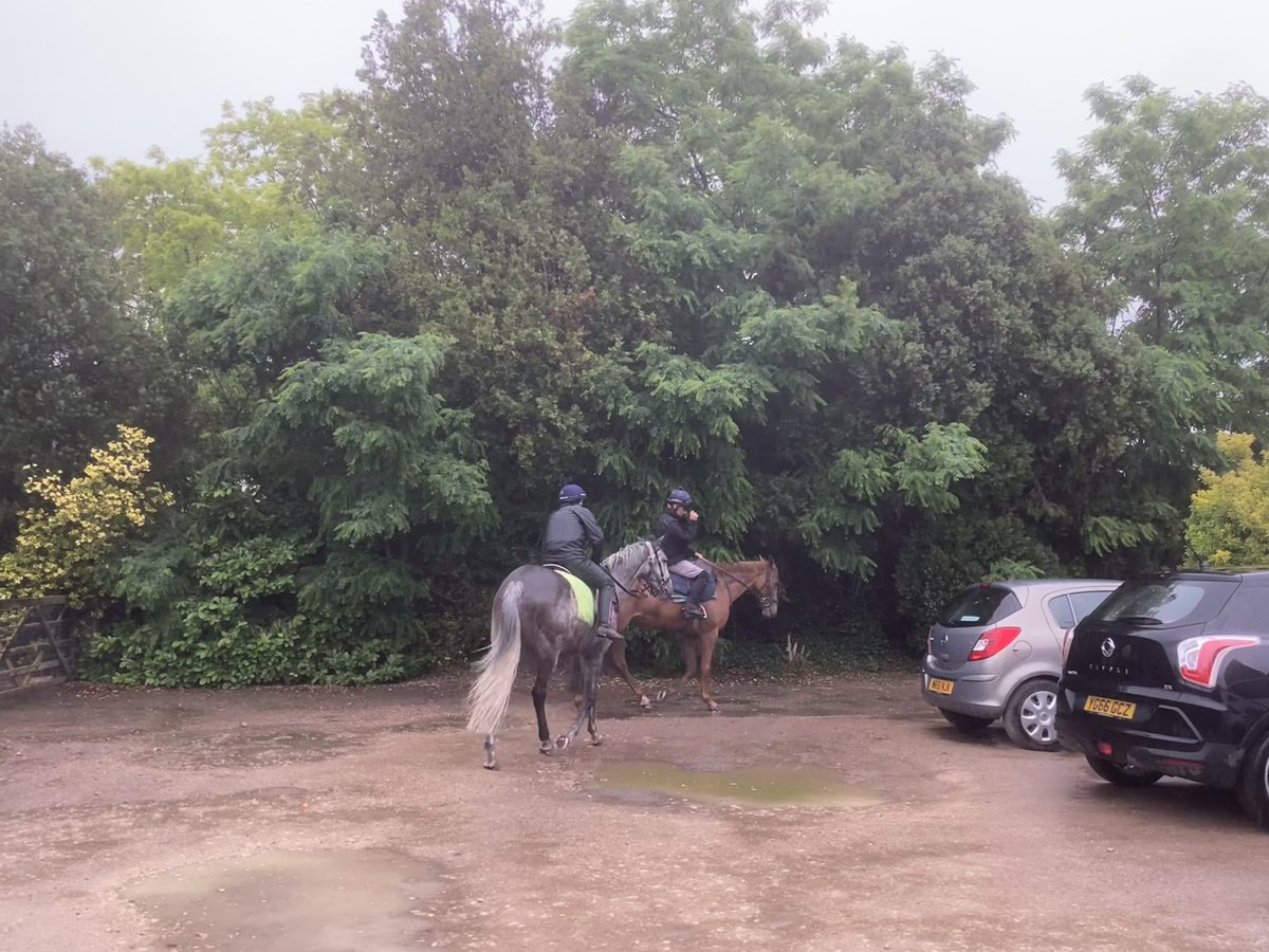 JohnWathenBerry's tweet photo. Rain in Newmarket this morning but it won’t last long. And it’s warm, 17 degrees. Should be a dry afternoon, very warm again, 24 degrees, with I imagine some sunshine #TarbatNess #CloudyRose #Clasina #Littleferry https://t.co/EttQwBpM8W