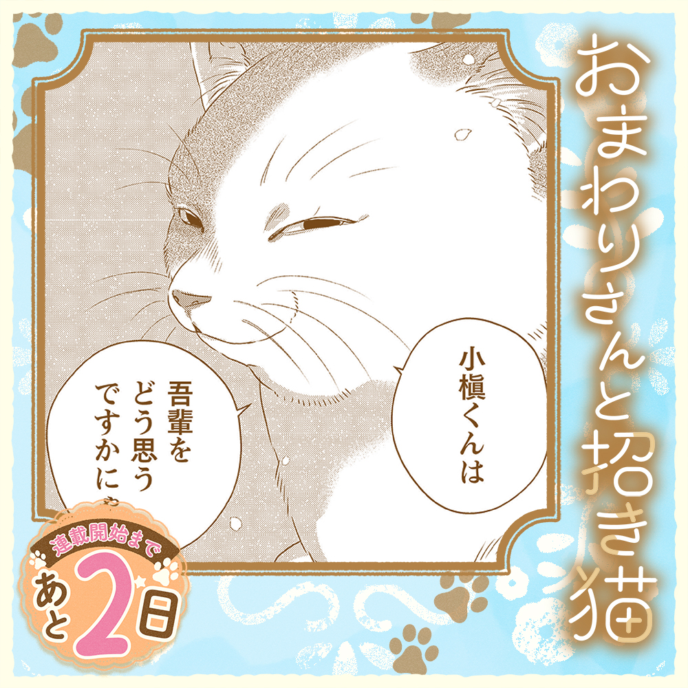 omochisan_info's tweet photo. ＼連載開始まであと2⃣日／

ミステリアスなところも
おもちさんの魅力の一つ🐱

コミックライドアイビー編集部(@comicride_ivy)
では別のカウントダウン画像が見れます!
そちらもぜひ、お楽しみください!

#おま猫 https://t.co/HNwTpeTJby