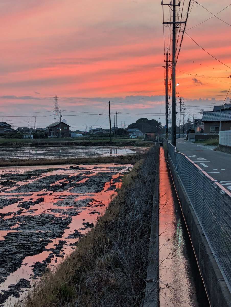 帰り道、田んぼの水面に夕日が 反射してすごくきれい。 用水路にも