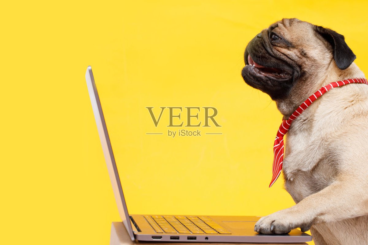 Vov1331114's tweet photo. [Want to level up your work skills this week Pick 1 small skill to master—whether it’s Excel shortcuts or public speaking basics—and stick to 15 mins of daily practice. Progress beats perfection every time!]， https://t.co/AVOchRMziz