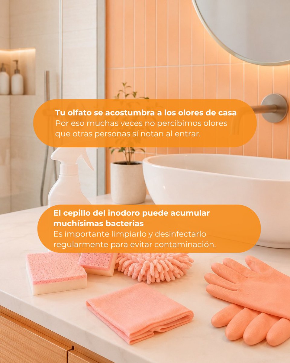 Alborchlimpieza's tweet photo. La #limpieza 🧼 está llena de curiosidades: objetos con más bacterias de lo esperado y hábitos que facilitan el #mantenimiento del #hogar. En Alborch compartimos #consejos para mantener #espacios limpios, cuidados y listos para el día a día.

#Curiosidades #Valencia #Castellón https://t.co/m6LB7pWNVF