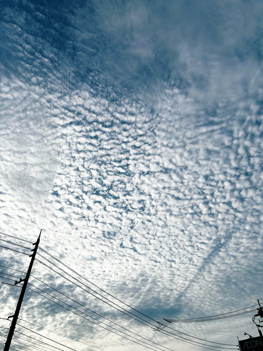 Rmitutake's tweet photo. 6時の雲 https://t.co/mroQ04LI3r