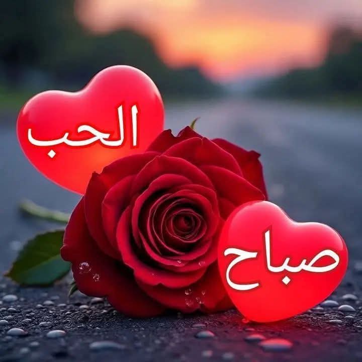 deebshaher's tweet photo. @zahrat_lotas @mariamalami11 https://t.co/8IrCjtVmyn