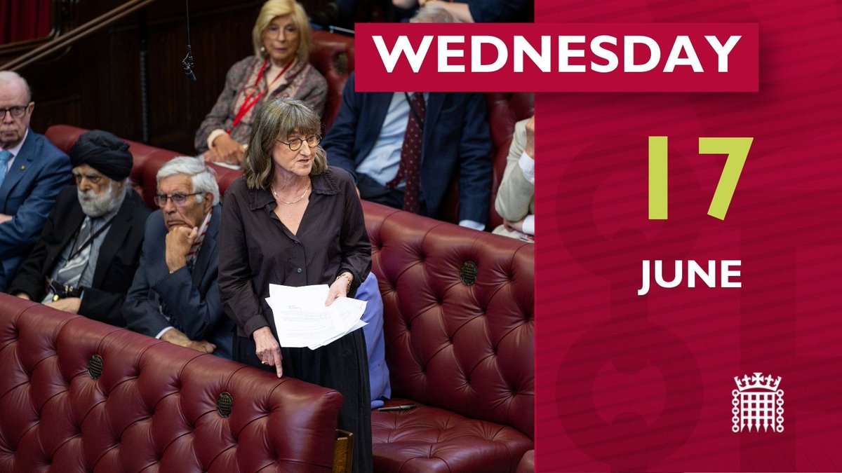 Wednesday 17 June, member speaking in the Lords chamber