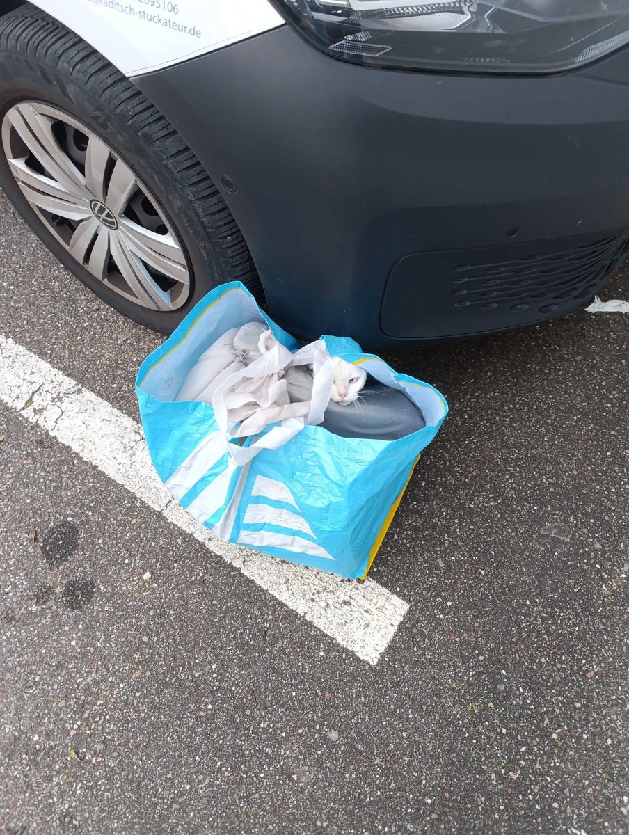 yolandaschultes's tweet photo. Kopie Tierheim Esslingen
Überraschung am Morgen.."
..leider keine der guten Art.
Um 6:30 Uhr heute morgen fiel unseren Mitarbeitern eine Tasche auf, die an unserem Tierheimauto abgestellt war.
In der notdürftig zugeknoteten Einkaufstasche befand sich in einer Kuschelhöhle eine weibliche Katze, die jederzeit hätte entkommen können, wäre sie nicht so verängstigt gewesen!
Die Katze hat kahle Stellen im Fell und als besonderes Erkennungszeichen ein missgebildetes Ohr. Wer kennt oder vermisst die Katze, bzw weiß, wo plötzlich diese Katze fehlt?
Auf die üblichen "immerhin wurde sie vorm Tierheim ausgesetzt" Kommentare verzichten wir gerne! Sie wurde ausgesetzt. Punkt!
Auch die "da steckt bestimmt ein ganz furchtbar schlimmes Schicksal dahinter" Fraktion, darf gerne Mitleid haben - allerdings haben wir in erster Linie Mitleid mit dieser armen Seele. Nichts, aber auch gar nichts rechtfertigt das Aussetzen eines Tieres, zumal sie ja auch vorher offensichtlich nicht allzu gut behandelt wurde!
Achja.. die böse GOT könnte auch noch Schuld sein..
Nein, Schuld sind verantwortungslose Menschen, die nicht das nötige Rückgrat haben, die Sache sauber zu lösen. Das geht nämlich auch und es gibt diese Menschen, die sich schweren Herzens an uns wenden. Das geht schon, man muss es nur wollen..
Deshalb nochmal:
Wer erkennt diese Katze und kann uns Hinweise zum ehemaligen Halter oder Halterin geben?
Es darf nicht sein, dass solche Menschen sich das nächste Tier zulegen, um sich dann wieder nicht zu kümmern.
Hinweise bitte jederzeit an uns unter
>>info@tierheim-esslingen.de oder
Tel. 0711-311733