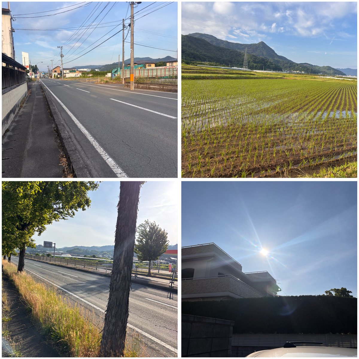 kishiolla's tweet photo. 2026ラン151日目!朝ラン終了!昨日違和感あって走らなかった中で今日20km!足問題なかったけど途中でコケて最悪やった!大事に至らなかったけどしっかり足元も見て走るようにしよ!明日明後日25km!きついけどやり切る!
#RUNCREW
#NikiRunClub
#朝ラン20km
#ランニング
#ラン記録 https://t.co/9ARH7zDivO