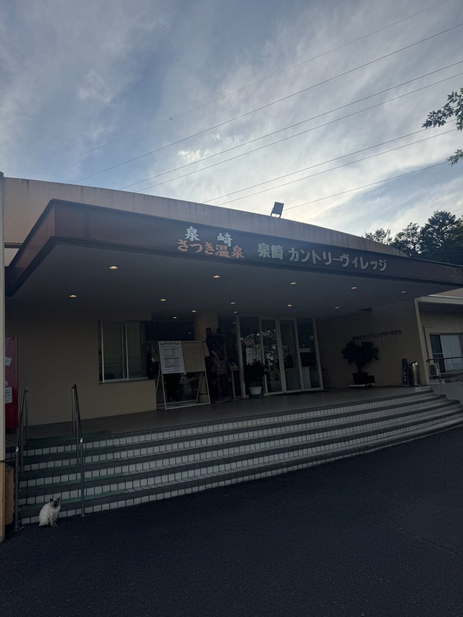 たんたん@PokeGO tweet media