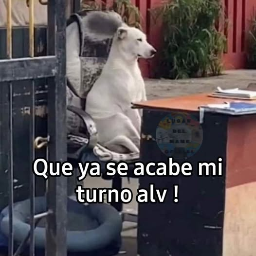 soyacostaa's tweet photo. Yo, cuando llevo 2 minutos en el jale https://t.co/M9ZxgI3W5d