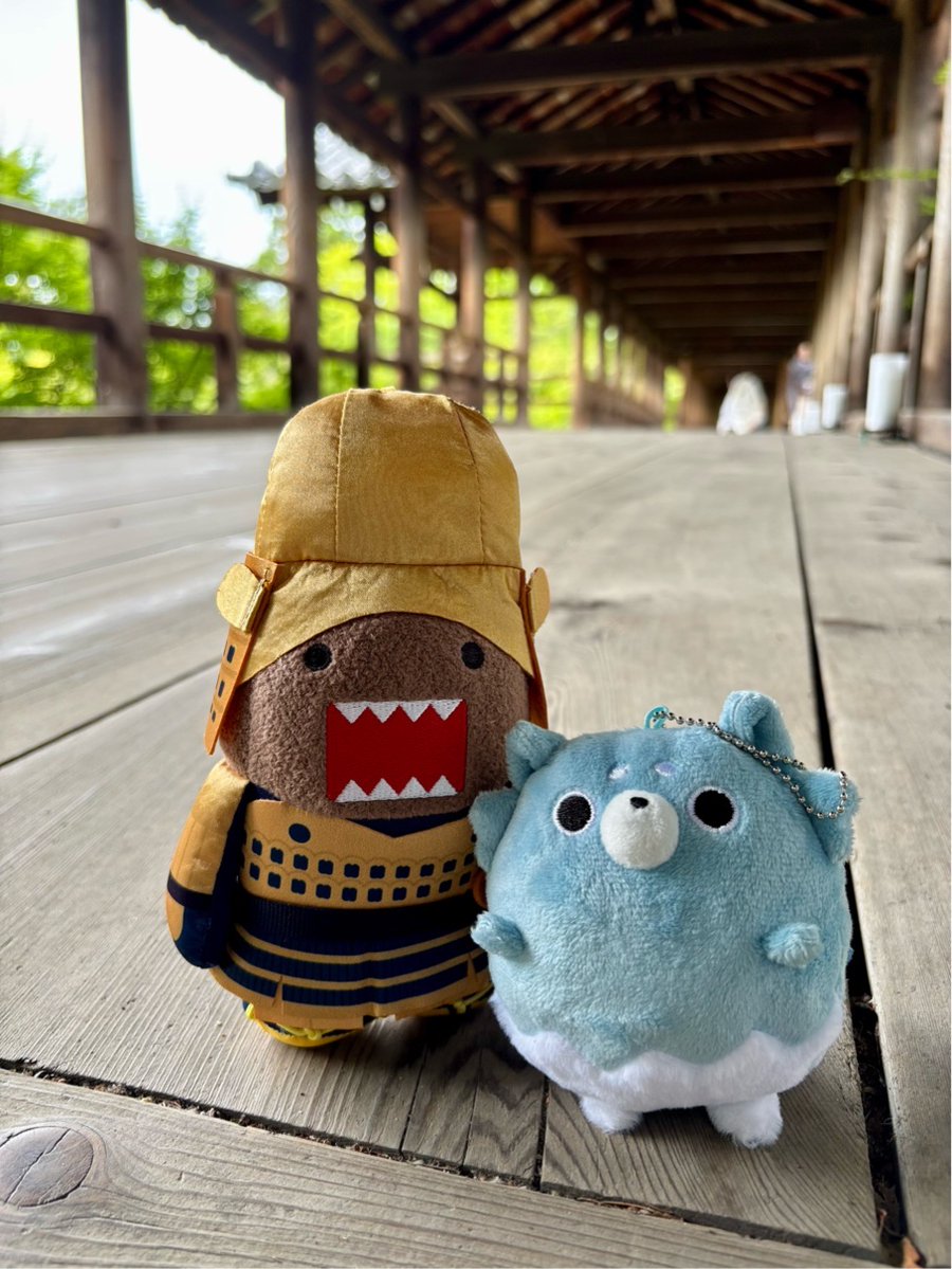 fuyubake's tweet photo. 第一夜のラストのトシとオヤジのシーンのロケ地・東福寺の通天橋。
ドラマと同じく紅葉が青々と輝いていてとても素敵なところでした。 https://t.co/IsBdqyM93Y