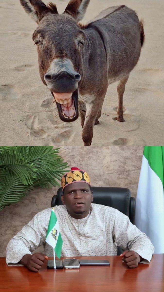 AbdullahiAlebo's tweet photo. @davido Is there any difference? https://t.co/YyjuD7Cbwe