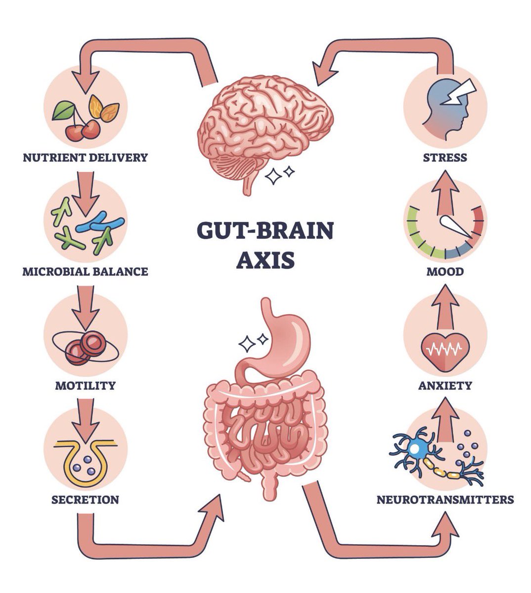 MdMoeezuddin's tweet photo. “*Your gut listens to every thought, every emotion, and every experience. Heal your mind. Heal your gut. Transform your health*.” 🌱 https://t.co/zAUJquH2Eu