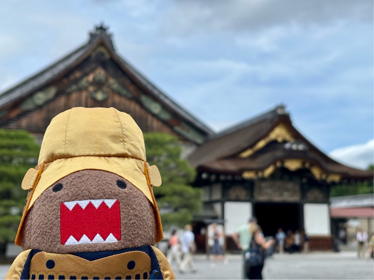 fuyubake's tweet photo. おまけ・ど家のオタクになって以来ずっと行きたかった二条城。
めちゃくちゃ素晴らしかった！！！特に二の丸御殿！！！殿や正信や小平太や平八郎が見えた😭😭😭
ちなみに有名な鶯張の廊下は最初から意図して作られたものではなく経年劣化で鳴るようになったそうで初めて知りました。 https://t.co/bfGEkp3eIG
