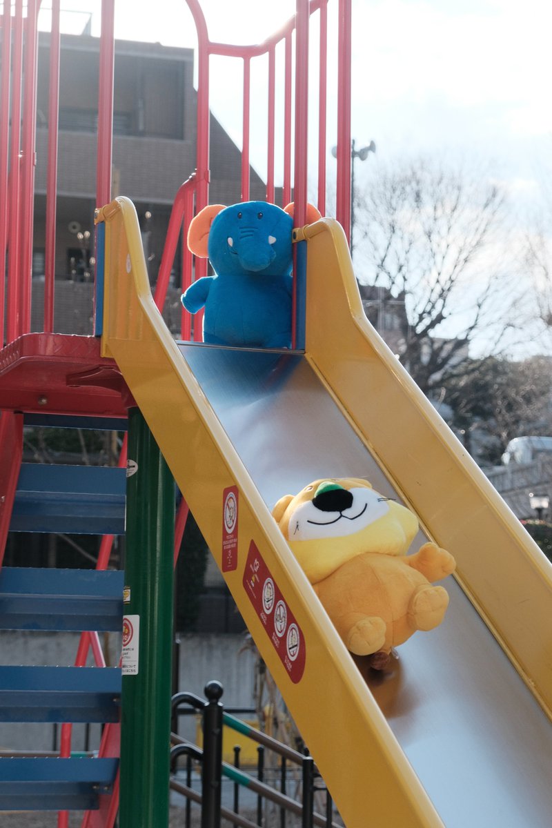 tabekko_movie_p's tweet photo. #たべっ子どうぶつ THE MOVIE モフモフSHOP
in 新宿マルイアネックスまで 残りあと8日✨

間もなく♪わくわく♪

🦁会期：2026 年 6 月 27 日(土)～7 月 5 日(日)
　　　　平日 11:00~19:00 土日祝 10:30~19:00
🐘会場：新宿マルイ アネックス 6 階 カレンダリウム 5

#たべっ子どうぶつTHEMOVIE
#TDtm
#モフショ