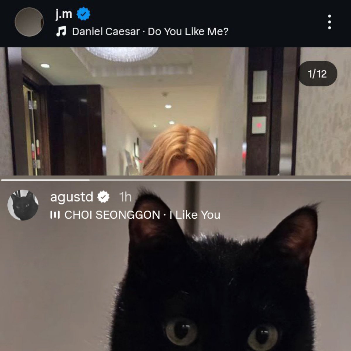 Julia tweet media