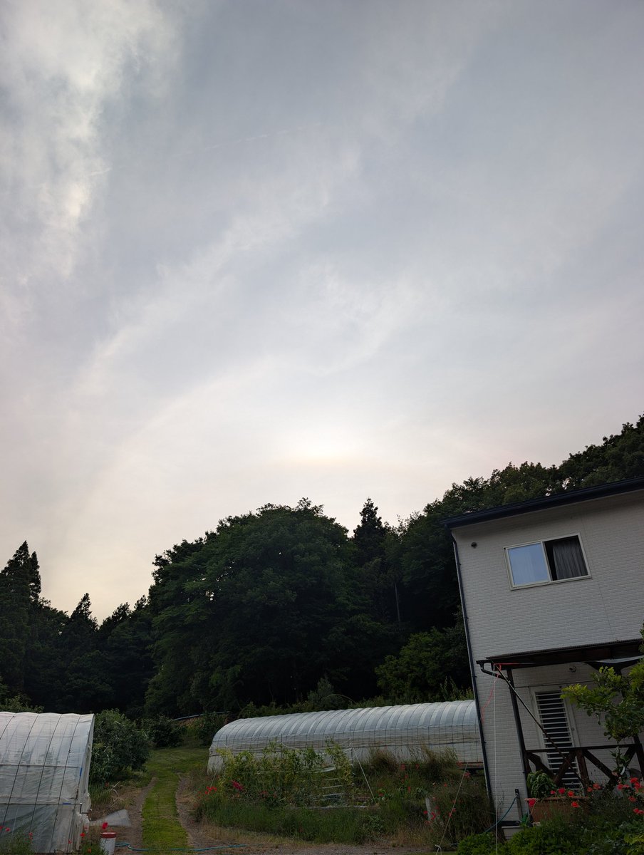 undefined_tsubu's tweet photo. お、アーク？ https://t.co/FbyNmqBahI