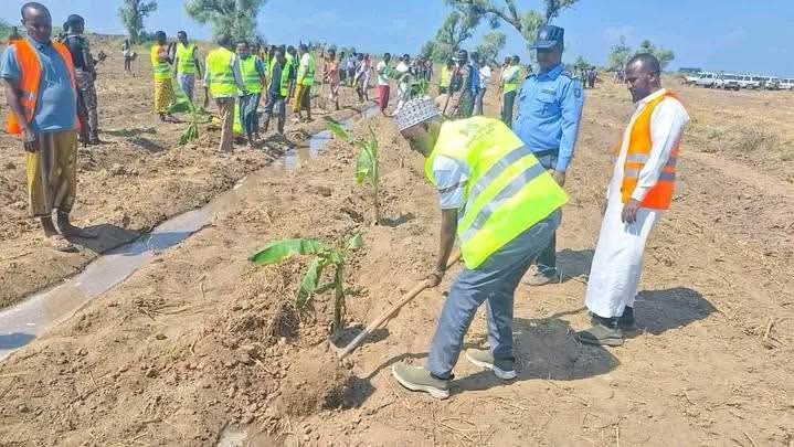 HameduInahaba's tweet photo. ~በብልፅግና ዘመን የክልሉመንግስት በአረንጓዴአሻራ ትውልድን ቀይሯል በተለይ የአፋር ክልል ፕሬዳንት የሆኑት ሀጂ አወል አርባ በቆራጥ አመራርነት በረሃ የነበረውን ክልል ዛሬ የለመለመች እና የለማች ፣የፍራፍሬ ኤክስፐርት መዳራሻ እንዲሆን አስችሏል https://t.co/JtCTT9TJje