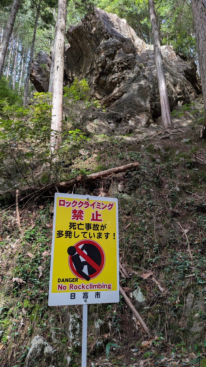 高橋摂 tweet media