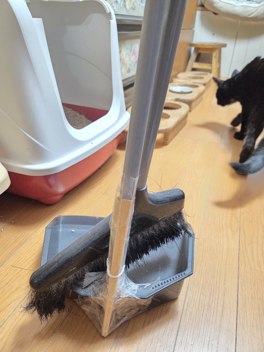 necochill's tweet photo. 10年くらい前に百均で買ったほうきとちりとり、割り箸で補強しながら使ってたけど限界なので買いに。もう同じ物は売ってない🥲
久々に百均に行ったら、値上げしてたり量が減ってるものたくさんあった。百円じゃないんかーい。結局百均では希望の形が見つからずホームセンターで買いました🥲 https://t.co/qs7oJe8X44