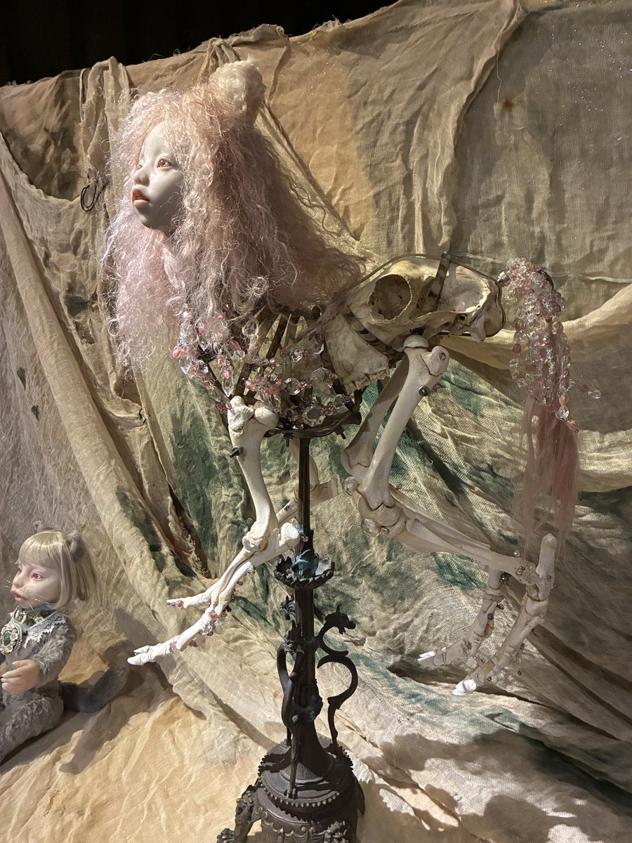 chihoxyzm's tweet photo. 宇都宮悠日さんの「怪異と芸術展Ⅲ」に行ってきました。
写真に収まらないくらいのボリュームです。林美登利さんの作品は10年程前に東京で観たけど、そこから骨を取り入れるなど作風が進化していて、目の前で感じられて嬉しい。骨董市でお土産も本も購入。県内なのでまた週末行ってきます。 https://t.co/TXhb5qS0sA