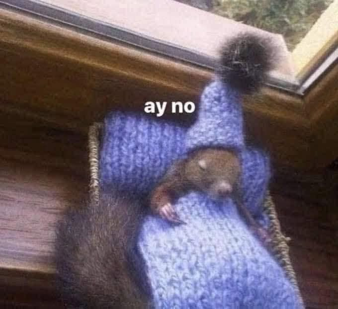 soyacostaa's tweet photo. Yo cuando me suena la alarma por las mañanas: https://t.co/YFcSZgurEA